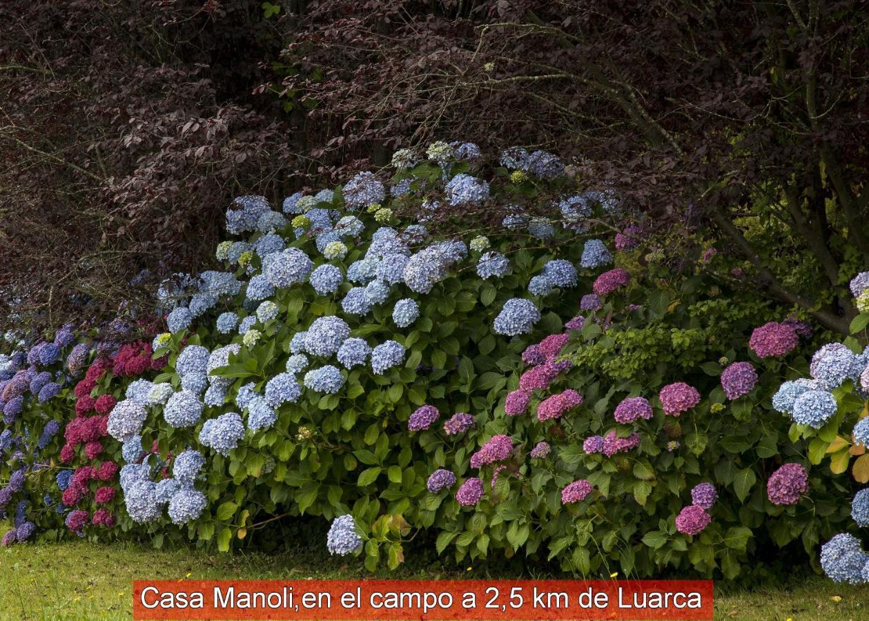 Casa Manoli Luarca Guest House Almuna Luaran gambar